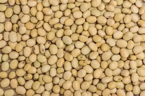 图片细节说明